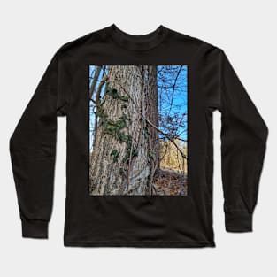 Fairy Vines climbing up an old tree natural rustic photography Long Sleeve T-Shirt